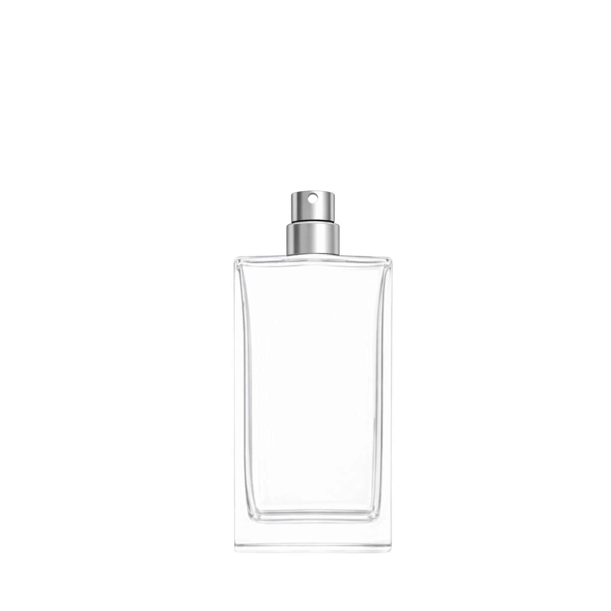 Delacroix clear glass 50ml fragrance bottle with matt silver atomiser