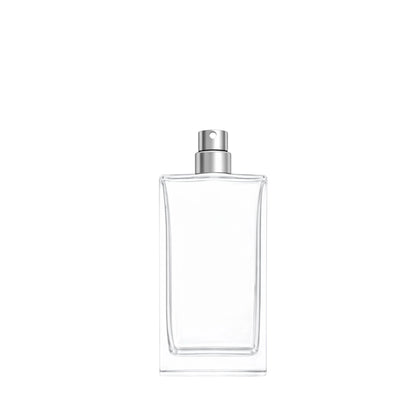 Delacroix clear glass 50ml fragrance bottle with matt silver atomiser